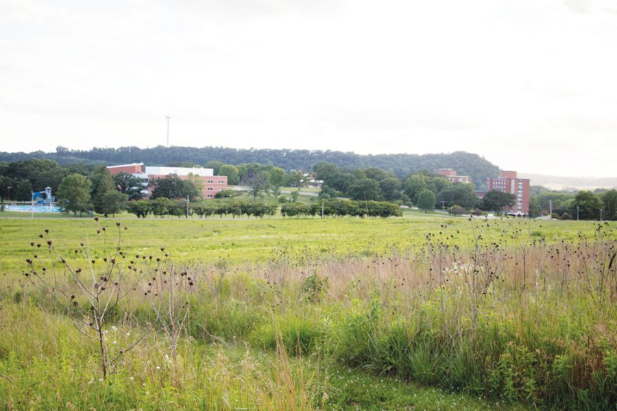 Anderson+Prairie+in+summer+2016.
