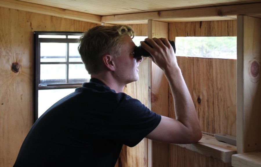 Luther+student+intern+Matt+Lagus+%28%2719%29+watches+raptors+from+the+bird+blind.