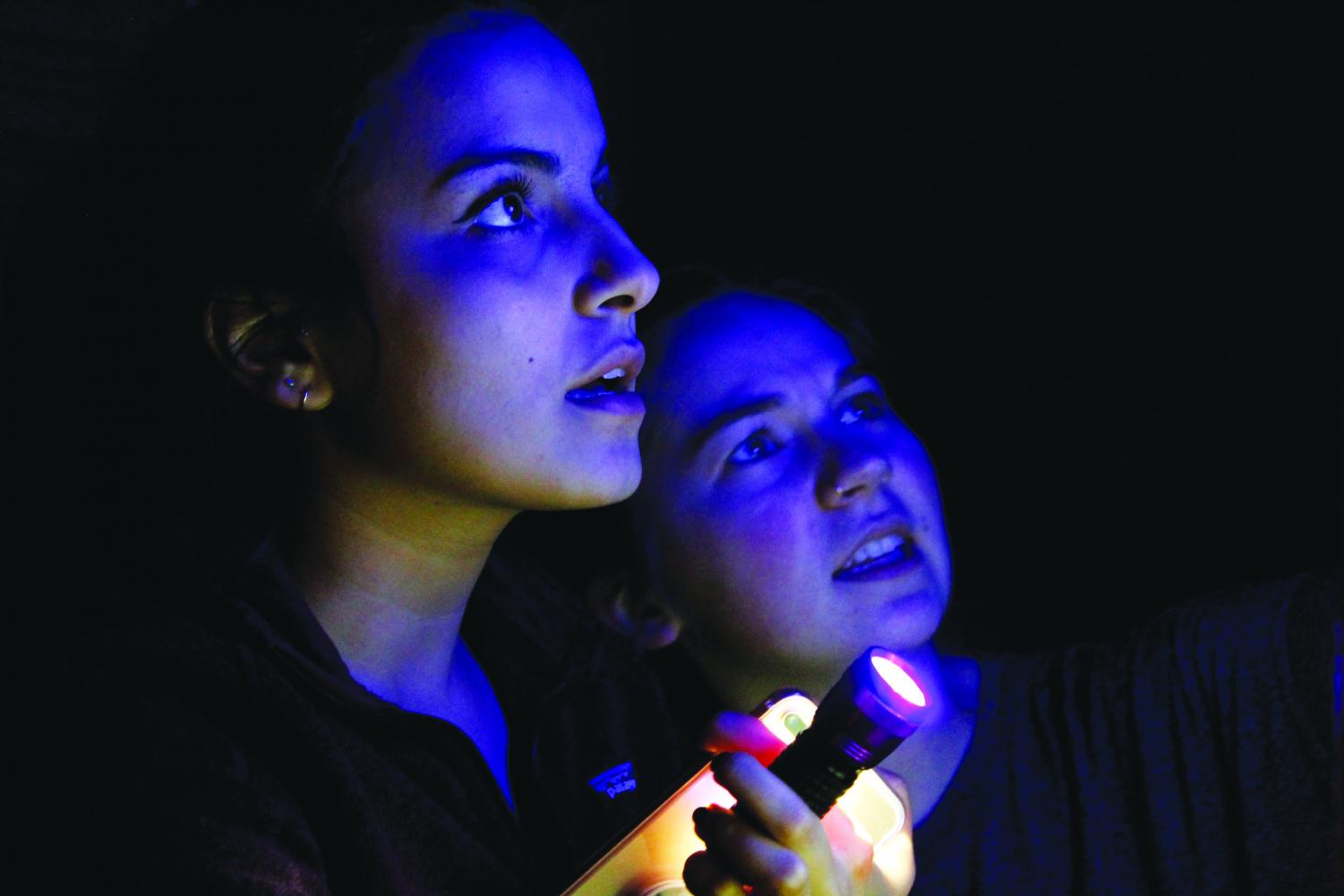 Emma Brooks (‘21) and Sophiya Khan (‘21) try to figure out a puzzle in the’Extinction Level’ escape room.