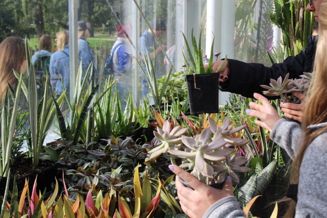 Students+were+allowed+to+pick+out+two+plants+from+the+variety+offered+to+them+at+the+annual+Plant+Giveaway.