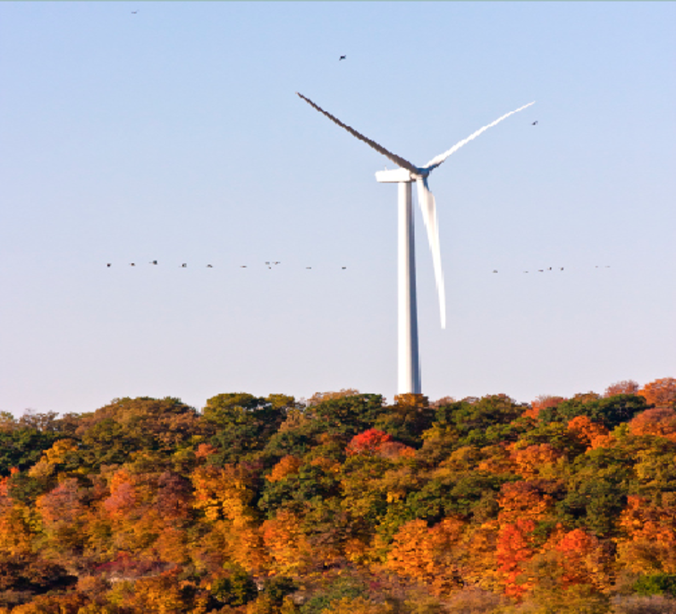 Luther College’s wind turbine.
				                                               Photo courtesy of Photo Bureau