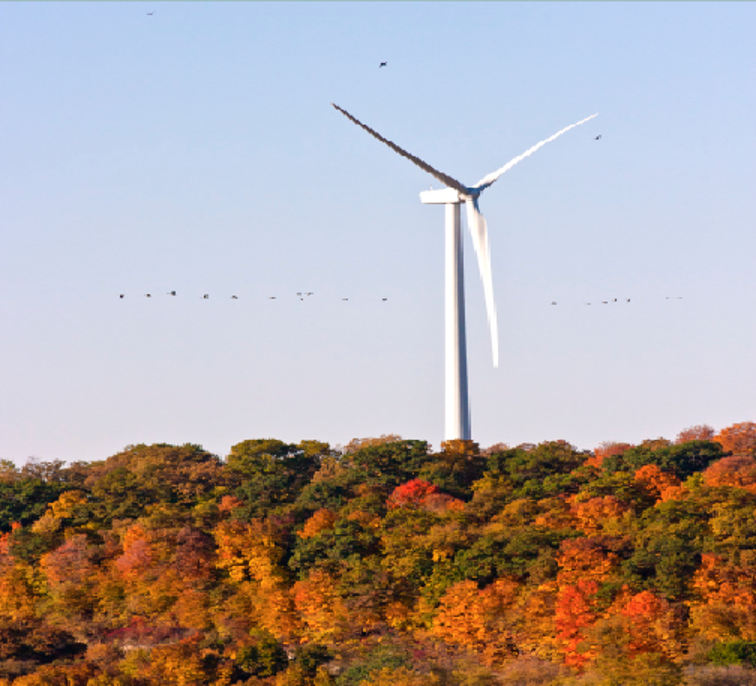 Luther+College%E2%80%99s+wind+turbine.%0A%09%09%09%09+++++++++++++++++++++++++++++++++++++++++++++++Photo+courtesy+of+Photo+Bureau