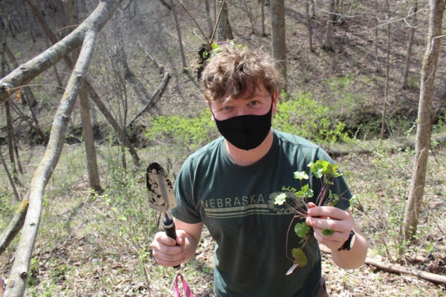 Payton Lott (‘23) holds garlic mustard after successfully removing it.