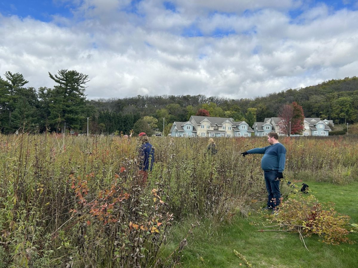 Students in ENVS 133: Environmental Conservation work to remove Amur Maple from Anderson Prairie on October 7. Photo courtesy of Jax Roslund (25)