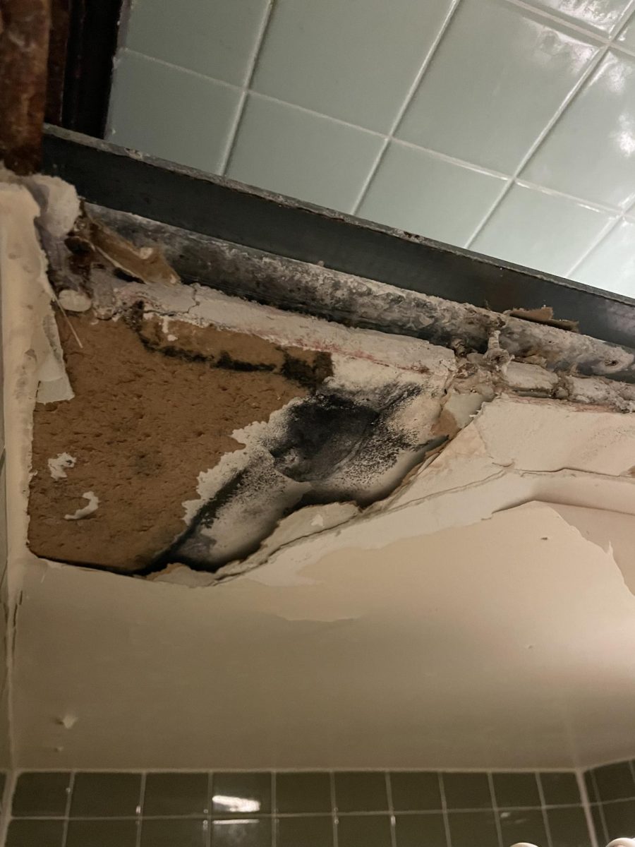 Black+Mold+seen+on+a+shower+ceiling+in+Olson+Hall%2C+2nd+Floor+West.+Discovery+of+mold+recently+forced+27+Luther+students+to+evacuate+from+rooms+in+the+west+wing+of+the+residence+hall.+Photo+courtesy+of+anonymous+submission+to+CHIPS.