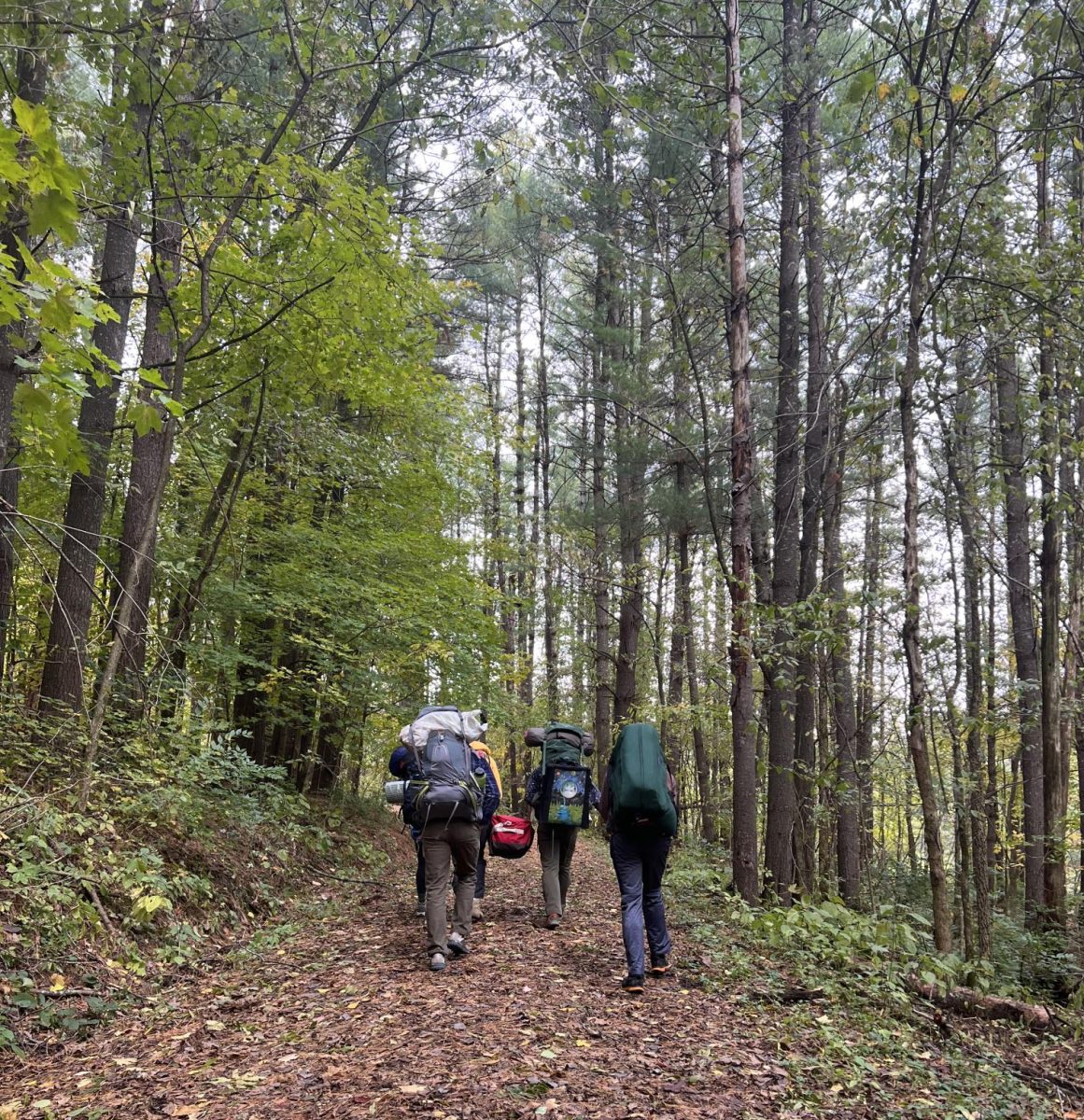 Students backpack through a tall stand of pine trees to their campsite in Yellow River State Forest, as part of a Fall Break camping trip organized by Luther Rec Services. Photo courtesy of Mara Pankow (26)