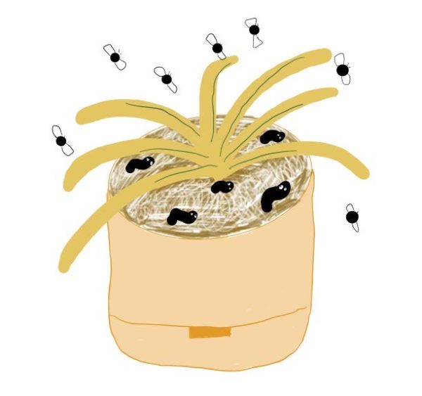 A recreated drawing of the catch-all garbage plant.